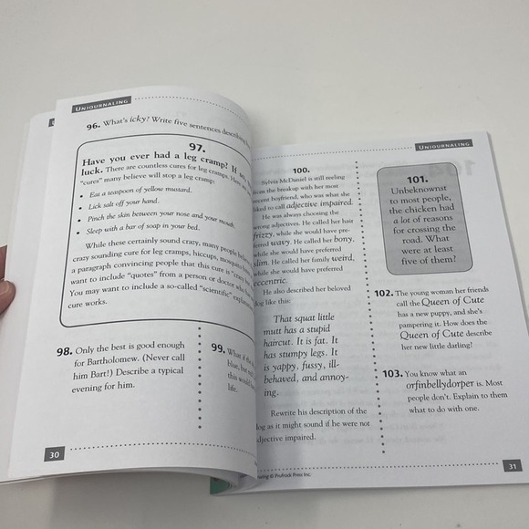 Unjournaling Daily Writing Exercises - Picture 6 of 6